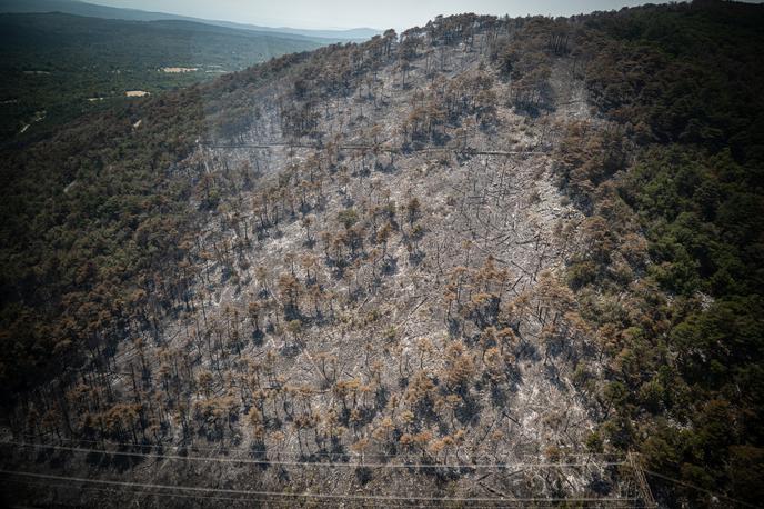 kras požar 2024 | Velik požar je v četrtek izbruhnil blizu vasi Škrbina pod Trsteljem v neposredni bližini požarišča katastrofalnega požara izpred dveh let, nato pa zajel skoraj celoten Trstelj.  | Foto STA