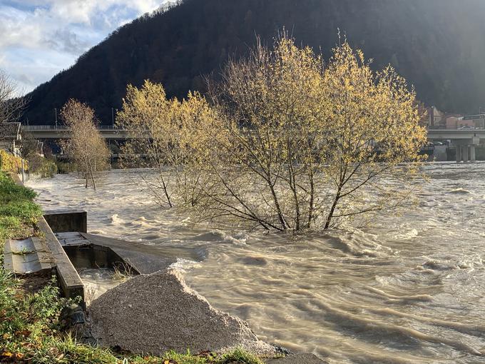 Poplave na Dravi | Foto: Smiljan Kuhar