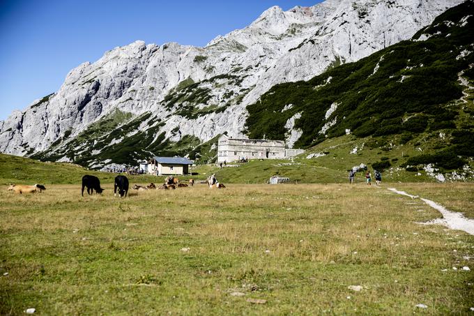 nogometni turnir Korošica | Foto: Ana Kovač