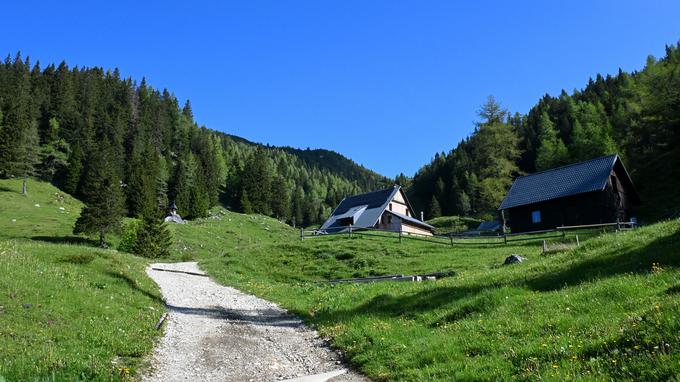 Na pol poti vzpona od kmetije Miklavc je koča na Loki. Od nje do vrha Raduhe pa je še ura in pol ali nekaj več. | Foto: Matej Podgoršek