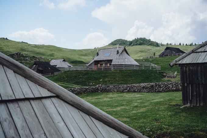 Viki Lešnjak Velika planina | Foto: Jan Lukanović