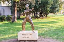 Bruce Lee Mostar