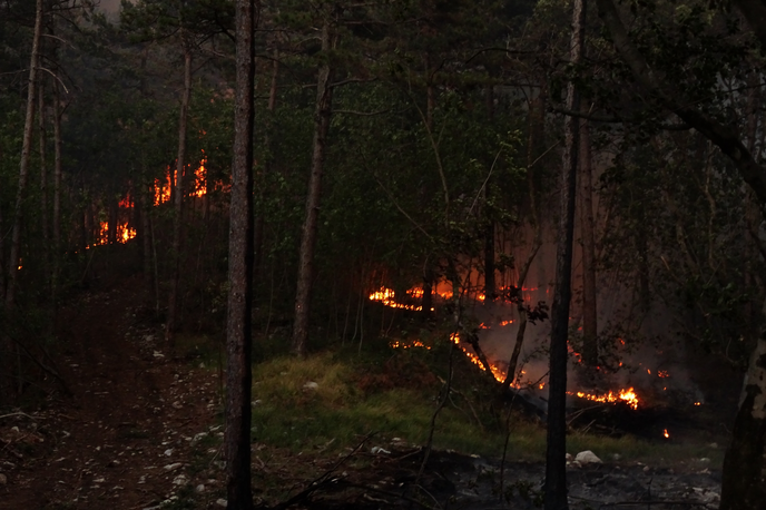 Požar na Krasu | V najobsežnejši in najzahtevnejši intervenciji se je z ognjem borilo več kot 20 tisoč ljudi. | Foto Civilna zaščita Severne Primorske