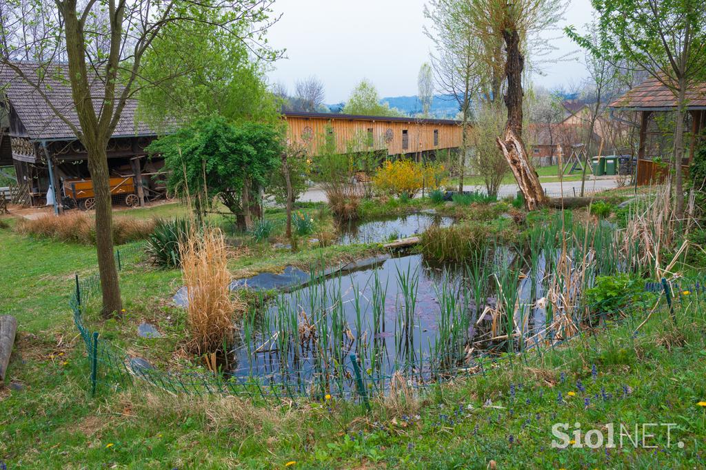 Herman Kisilak Čebelji gradič med čebele kmetija turizem Prekmurje Rogašovci