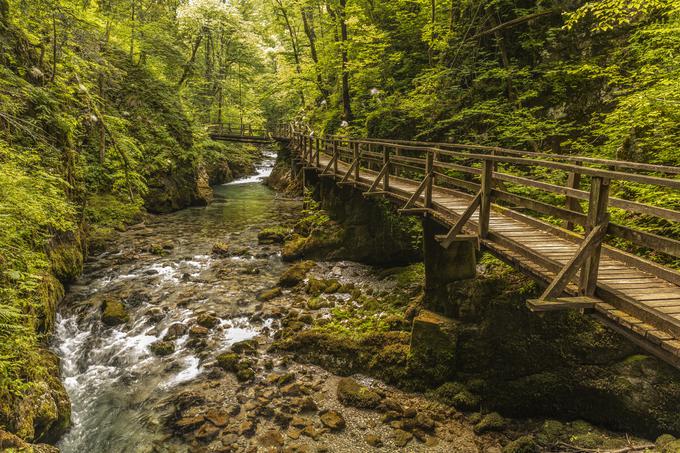 Gorski Kotar | Foto: Zoran Jelača