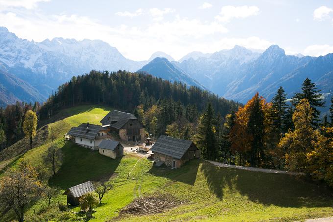 Slovenci smo na nepremičnine navezani, zato se je zaradi prepovedi razpolaganja z nepremičninami veliko ljudi odpovedalo socialnim transferjem. | Foto: Klemen Korenjak