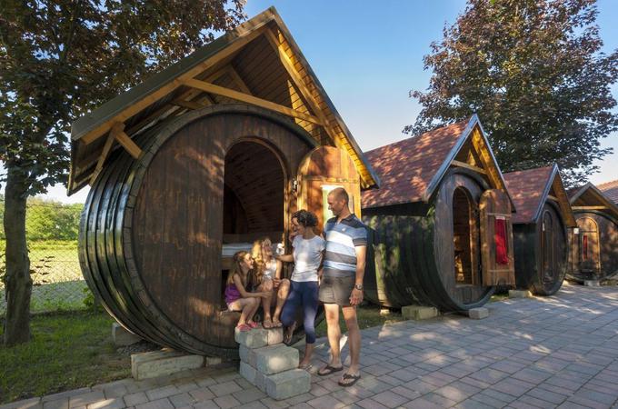 Glamping Vinska vas | Foto: Sava Hotels & Resorts