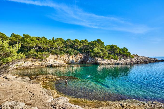 Istra, plaža | Foto: Shutterstock