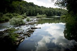 Turistična ekološka kmetija Čemas Vinica Zilje Bela Krajina Kolpa