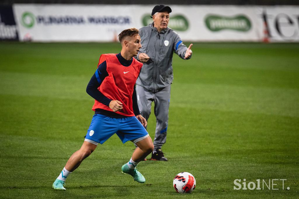 Slovenija Trening Nogomet Ljudski vrt