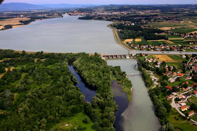 Krajinski park Šturmovci ob Ptujskem jezeru kjer vas bo presenetil s čudovitimi prodišči, plitvinami ter travniki z redkimi drevesi, ki spominjajo na negovane grajske parke. | Foto: 