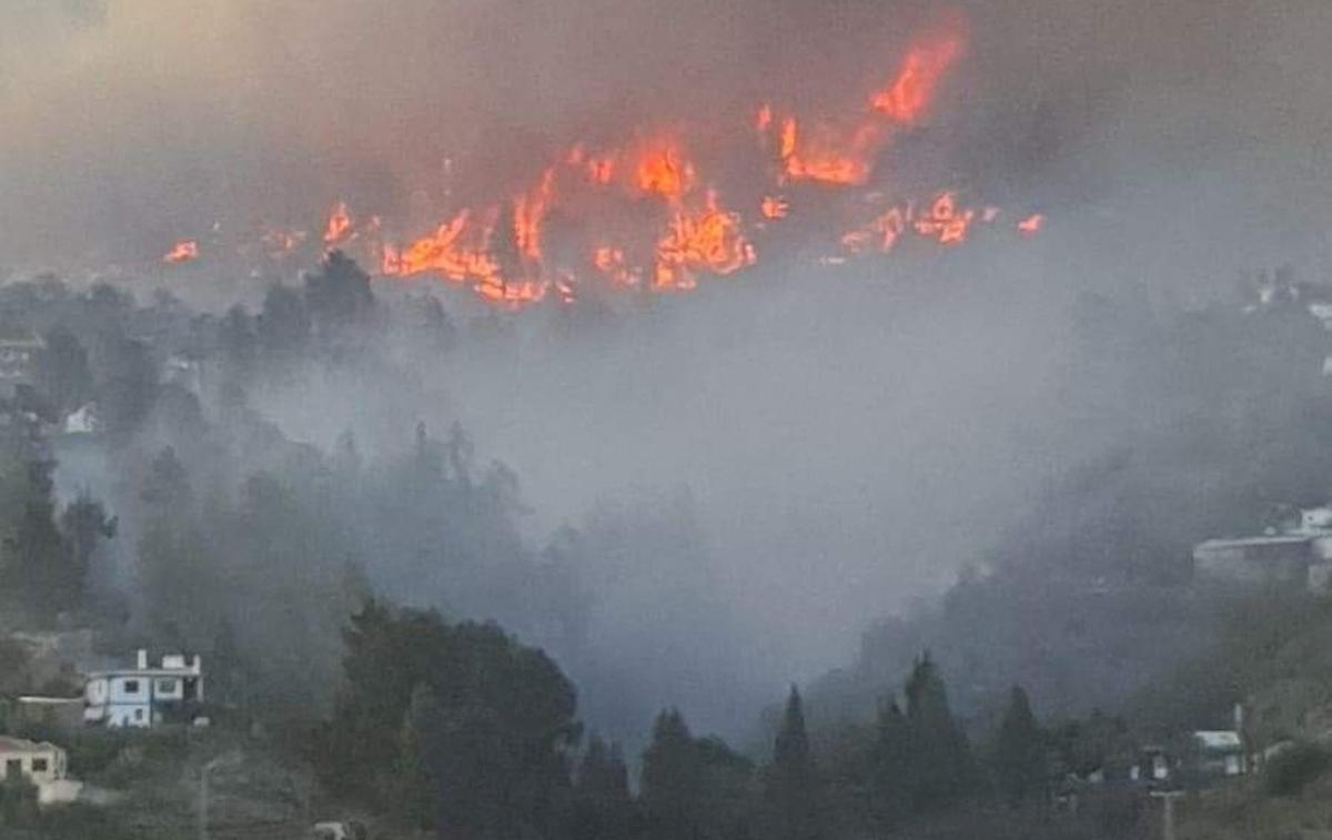 La Palma | Požar je izbruhnil na severozahodu otoka ter zaradi močnega vetra in vročinskega vala hitro napredoval. | Foto Reuters