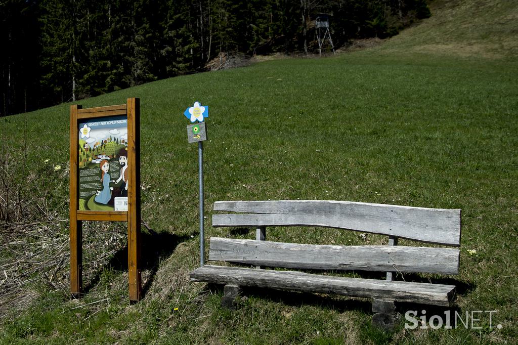 Kmetija odprtih vrat Andrejon Blegoš