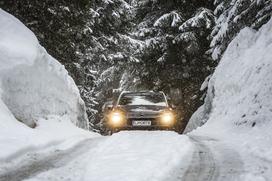 Citroën, biatlon, Pokljuka