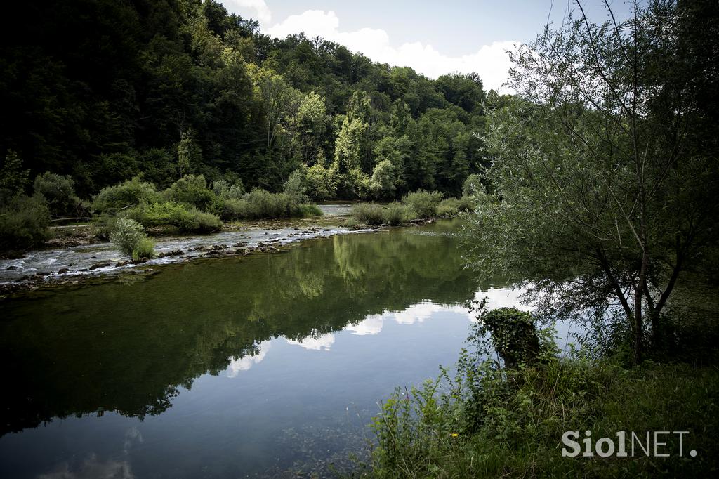 Turistična ekološka kmetija Čemas Vinica Zilje Bela Krajina Kolpa