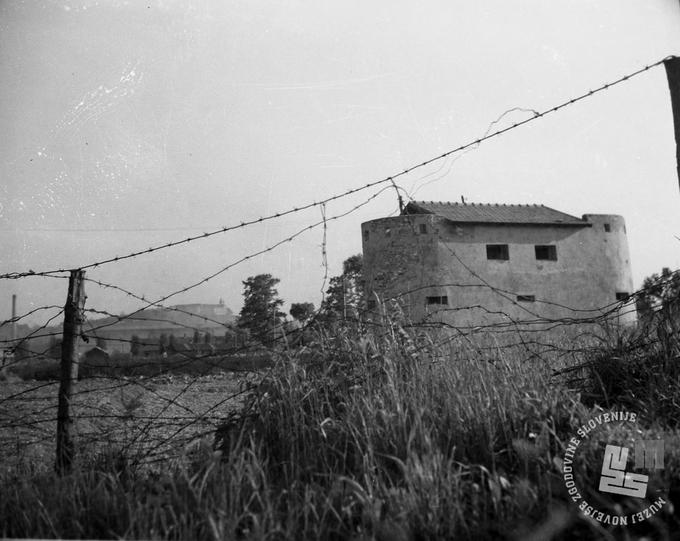 Fotografija je posneta ob žični pregradi v Ljubljani. | Foto: dr. Jakob Prešeren, hrani: MNZS