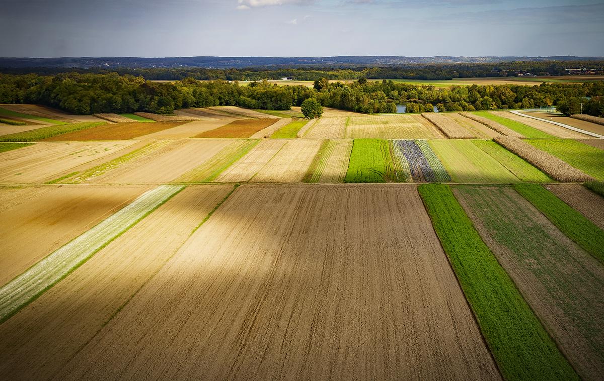 Mercator Panvita | Skupina Panvita je eden največjih igralcev na slovenskem kmetijskem in živilskem trgu.  | Foto Ana Kovač