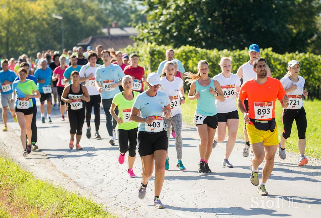 Konjiški maraton 2016