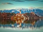 Bled