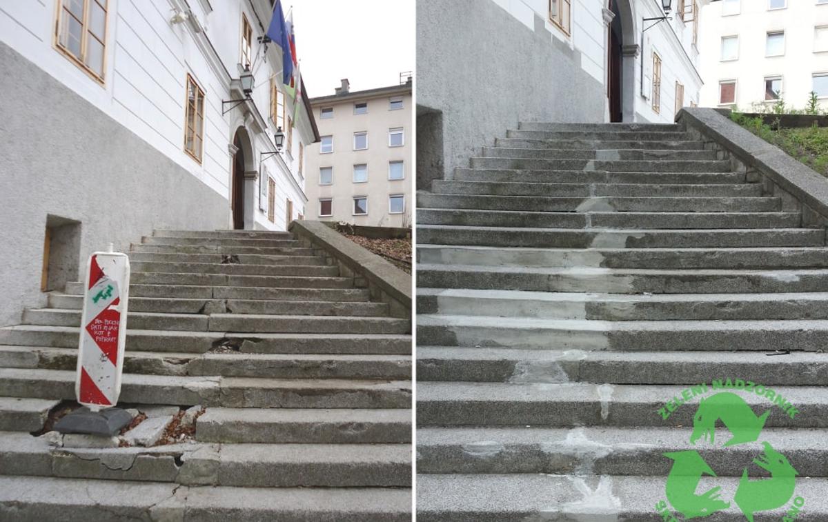 društvo zelenih nadzornikv | Foto Društvo Zelenih nadzornikov