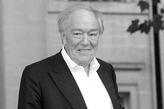 Michael Gambon | Med letoma 2004 in 2011 je navduševal ljubitelje filmov o Harryju Potterju in njegovih dogodivščinah na čarovniški šoli Bradavičarka. Kot ravnatelj Dumbledore je zaigral v šestih od osmih filmov.  | Foto Guliverimage