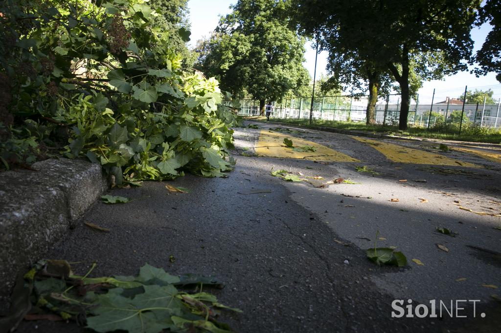 Posledice nočnega neurja v Ljubljani.