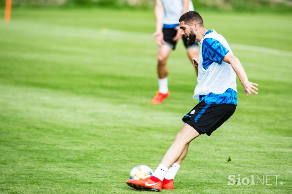 slovenska nogometna reprezentanca, trening