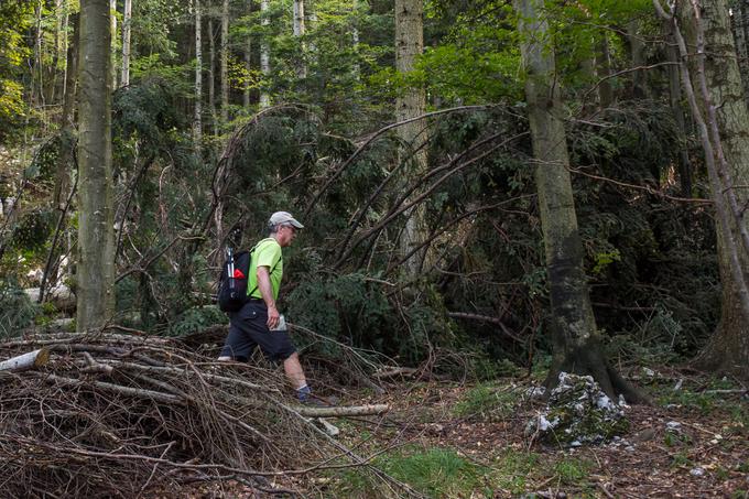 Obleka in kravata sta prejšnjo sredo ostala v Ljubljani, na Nanos se je veleposlanik odpravil v pohodniški opravi: volnenih nogavicah in gojzerjih, z nahrbtnikom in pohodniškimi palicami. | Foto: Klemen Korenjak