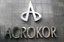 Agrokor razvija regijsko internetno trgovino