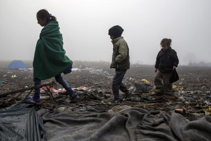 Hrvaška meja migranti | Foto: Reuters