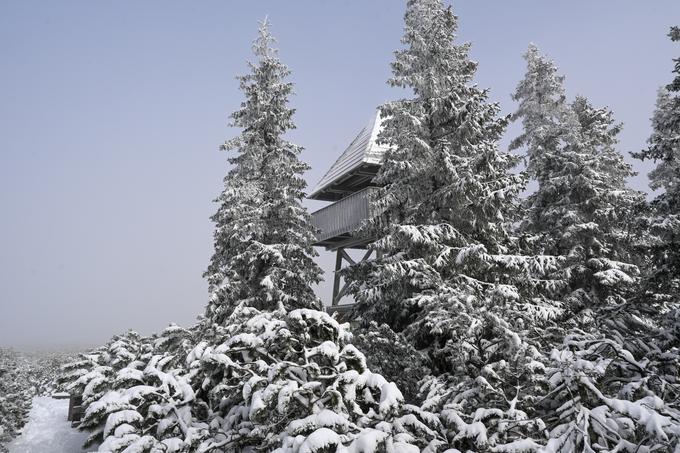 Stolp na Lovrenških jezerih, s katerega je lep pogled na visoko šotno barje s sedmimi jezerci. | Foto: Matej Podgoršek