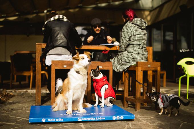 Tople tačke | Foto: 