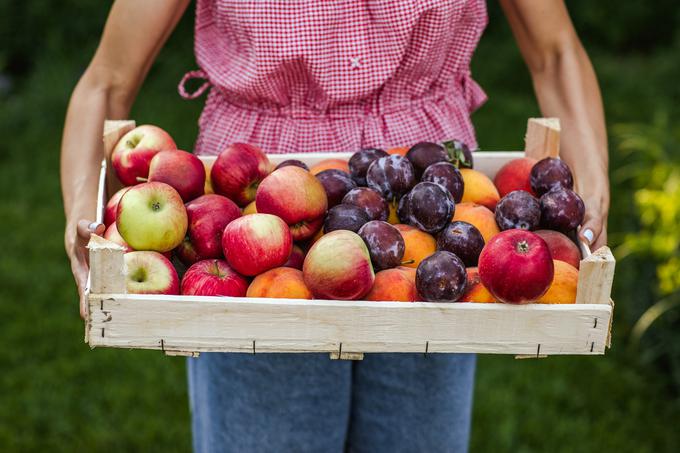 Sadje vsebuje vitamine in minerale, a hkrati tudi sladkorje.  | Foto: Shutterstock