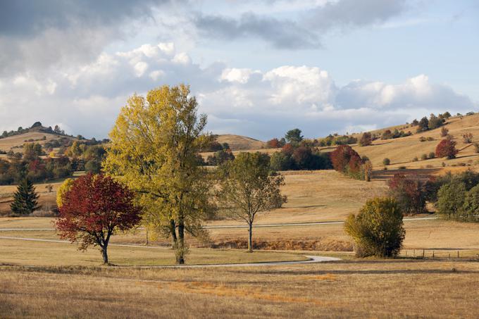 Banjška planota Banjšice | Foto: Thinkstock