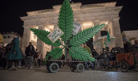 V Nemčiji legalizirali konopljo za osebno rabo