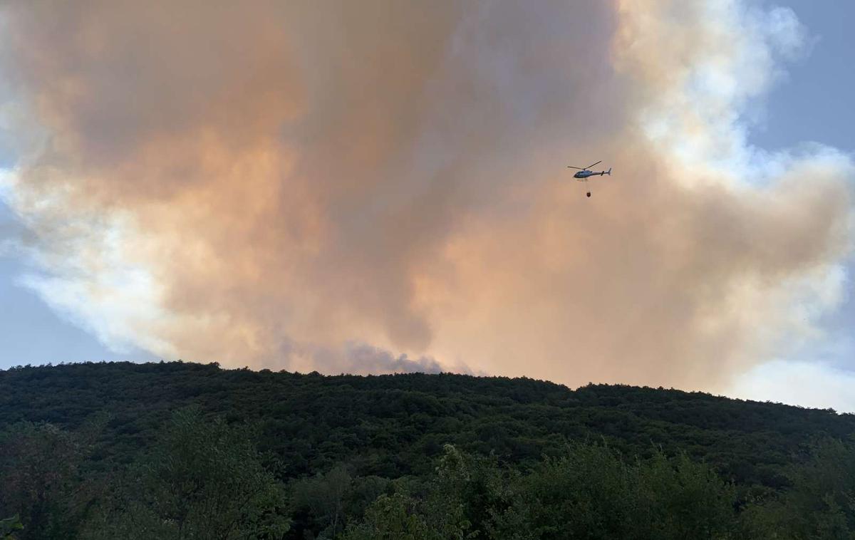 Socerb, požar | Foto STA