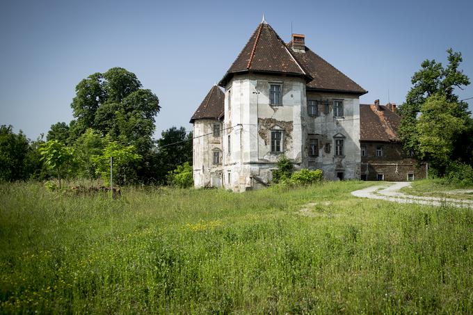 grad Bokalce | Foto: Ana Kovač