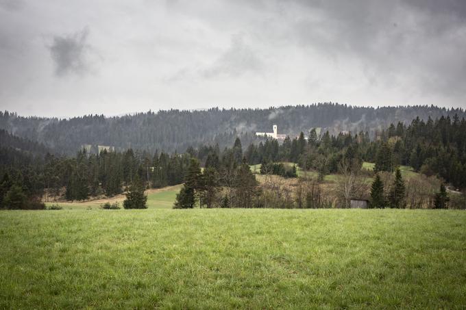 Bloška planota, osrednje območje rjavega medveda v Sloveniji | Foto: Bojan Puhek