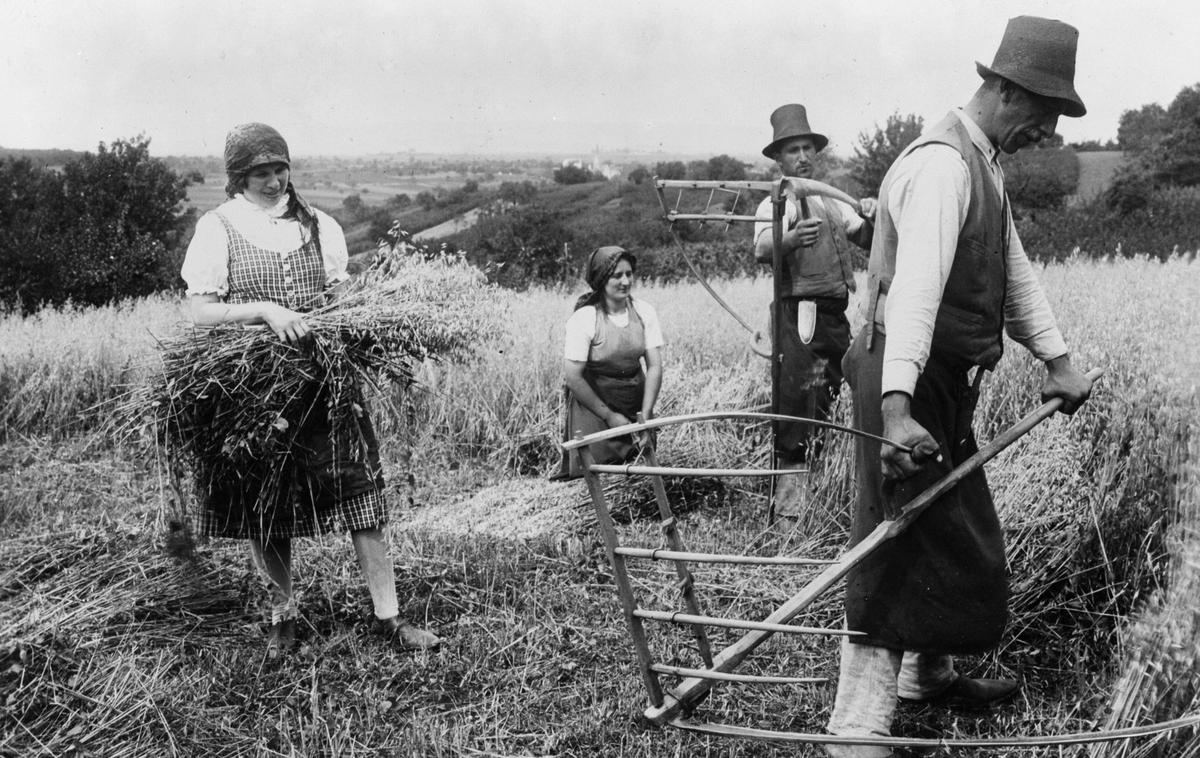 kmetje | Foto Getty Images