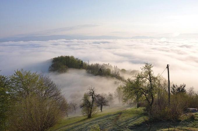 ... in uživa v panoramskem razgledu na Savinjsko dolino. | Foto: 