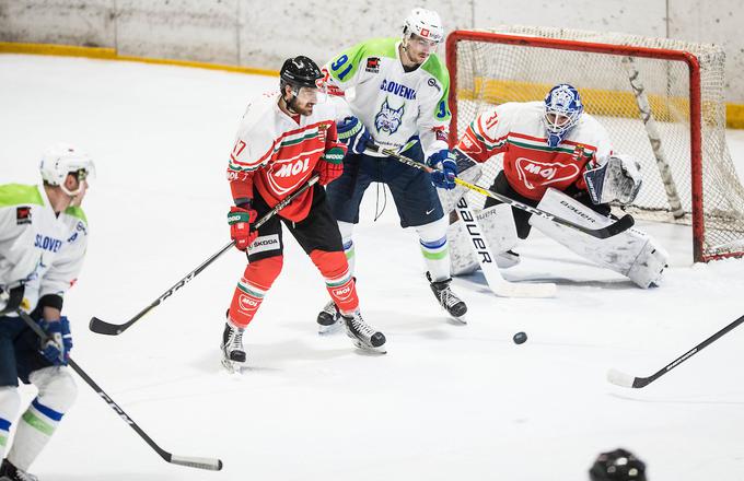 Slovenija Madžarska pripravljalna tekma hokej Rok Tičar | Foto: Vid Ponikvar