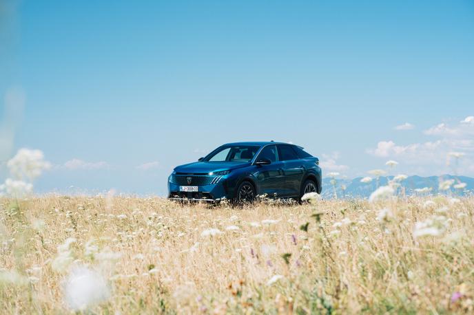 Peugeot 3008, Nanos | Foto Jan Lukanović