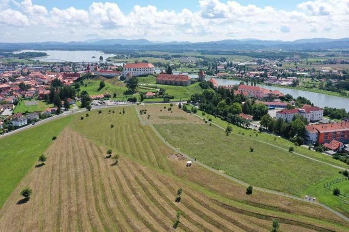 Pred prihodom Keltov sta se na ozemlju današnje Slovenije stikali dve jezikovni/narečni ploskvi. Severnojadranska oziroma venetska ploskev, ki je imela žarišče v Padski nižini, in panonska ploskev. Območje današnjega Ptuja je bilo del panonske jezikovne ploskve. Venetščina je bila najverjetneje del italskih jezikov, o panonski indoevropščini pa vemo precej manj. Je pa bila panonščina del kentumskih jezikov. | Foto: STA ,