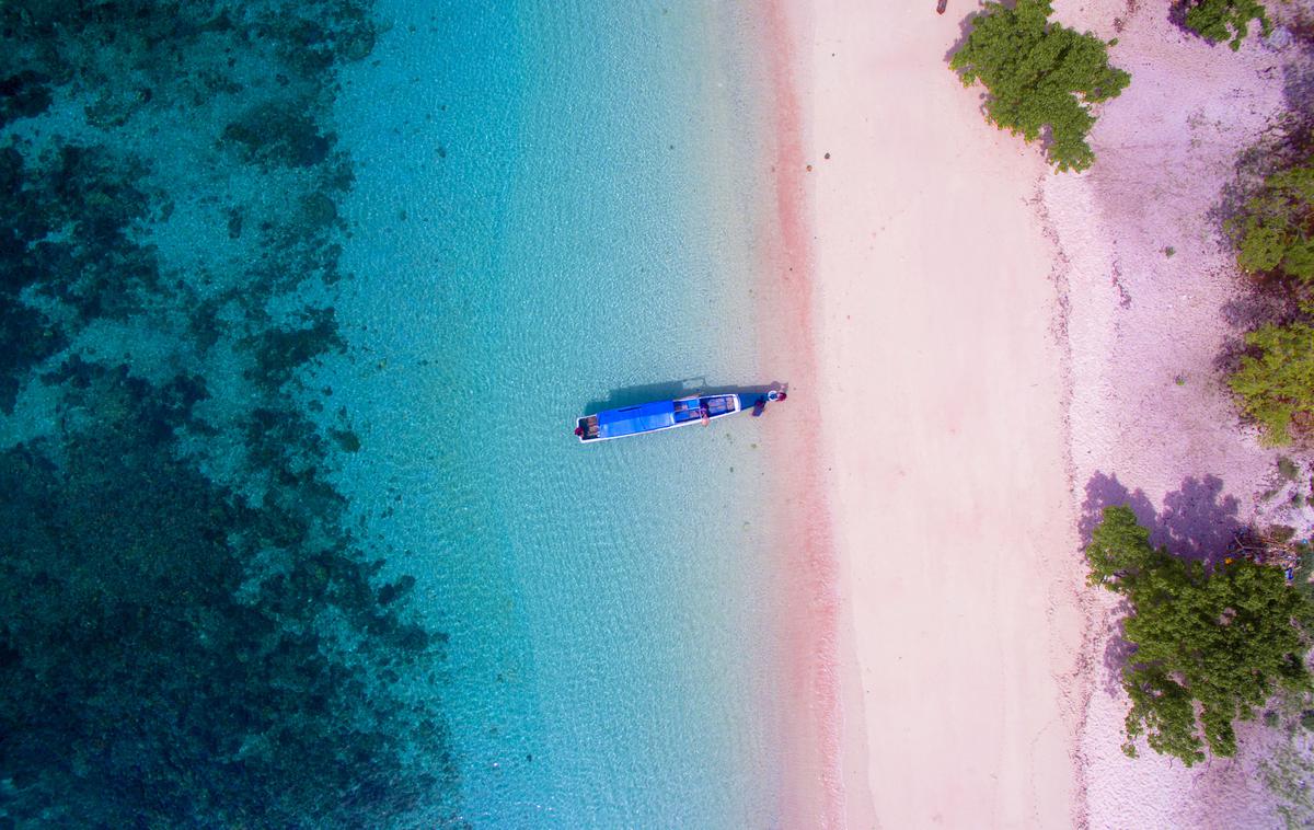 Komodo, Indonezija | Otok Komodo, Indonezija | Foto Getty Images