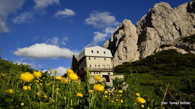 Cojzova koča na Kokrskem sedlu je dobila ime po bratih Zois: po Žigi, mentorju in mecenu slovenskih literatov, naravoslovcu, geologu in mineralogu, ter botaniku Karlu Zoisu. | Foto: 