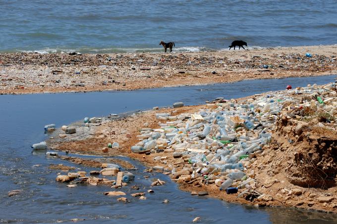 Problem običajne plastike ki ni biološko razgradljiva, je tudi, da se dolgo razkraja. Plastenka za pijačo na primer na mikrodelce razpada celih 450 let, plastični obročki za pločevinke 400 let, medtem ko razgradljivi plastični obročki za pločevinke razpadajo šest mesecev. Plastična vrečka se razkraja med 10 in 20 leti, ribiška vrvica pa 600 let. | Foto: Reuters