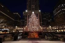 Rockerfeller Center, božična jelka, božična smreka, novoletna smreka