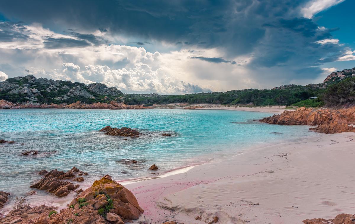 Spiaggia Rosa | Prepoved hoje po plaži velja že več kot 30 let, zaradi strahu, da bi jo obiskovalci uničili, pa bodo zdaj uvedli strožje ukrepe. | Foto Shutterstock