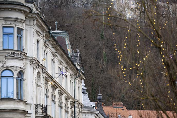 Med sečnjo v Ljubljani del drevesa zdrsel do hiše in jo poškodoval