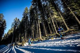 Pokljuka biatlon šprint